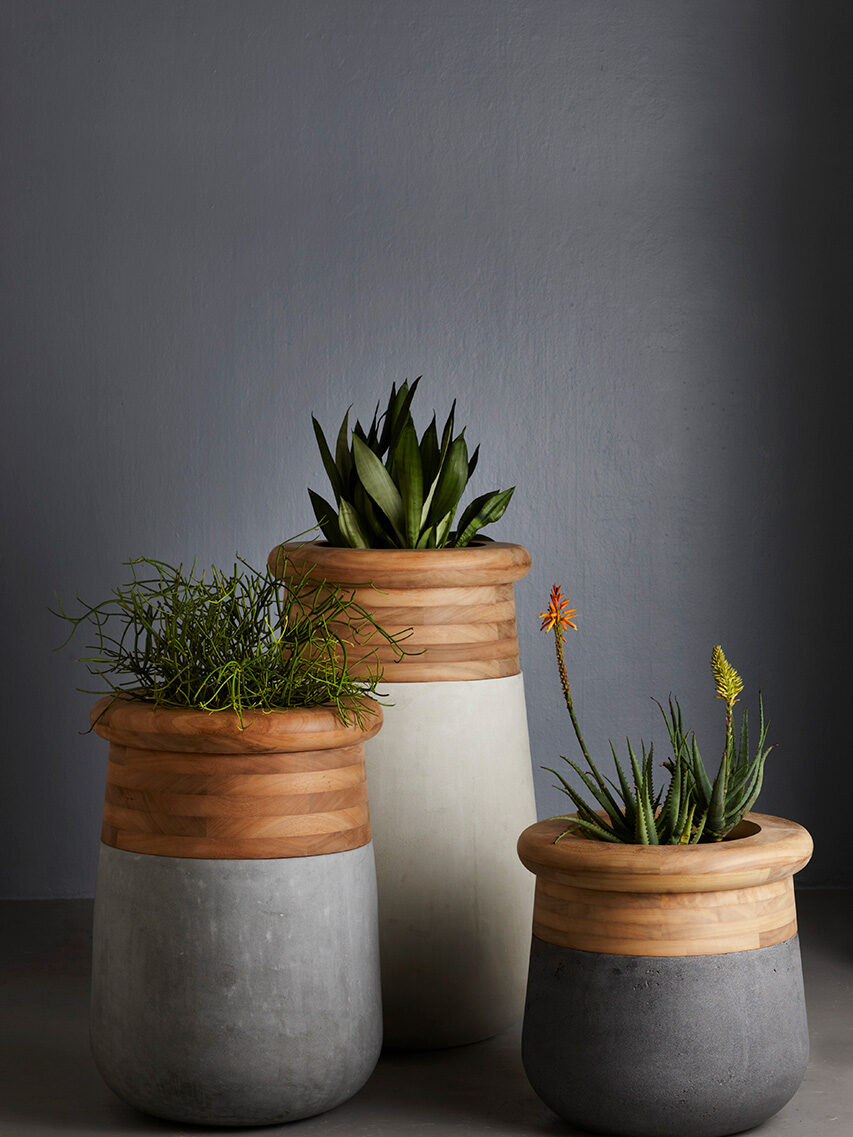 Soma planters for Wiid Design in grey, white and charcoal cement bases hand-formed by Plaster Art SA and topped with wood rims.